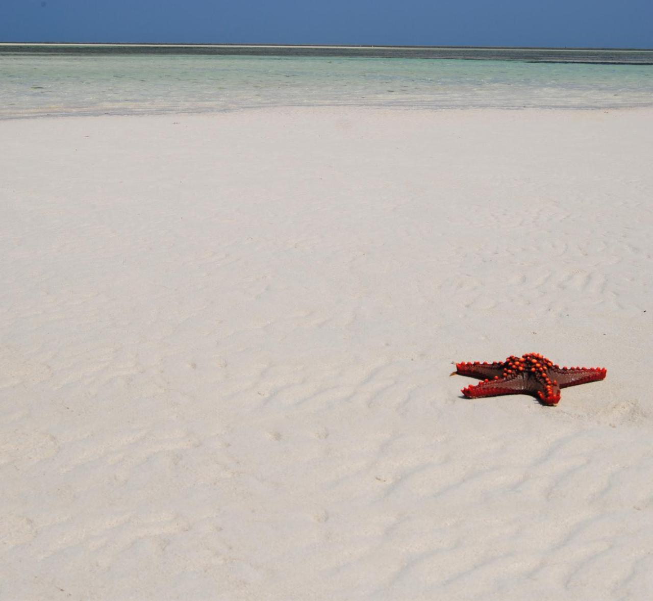 Life Resort St. Thomas Royal Palm Watamu Esterno foto