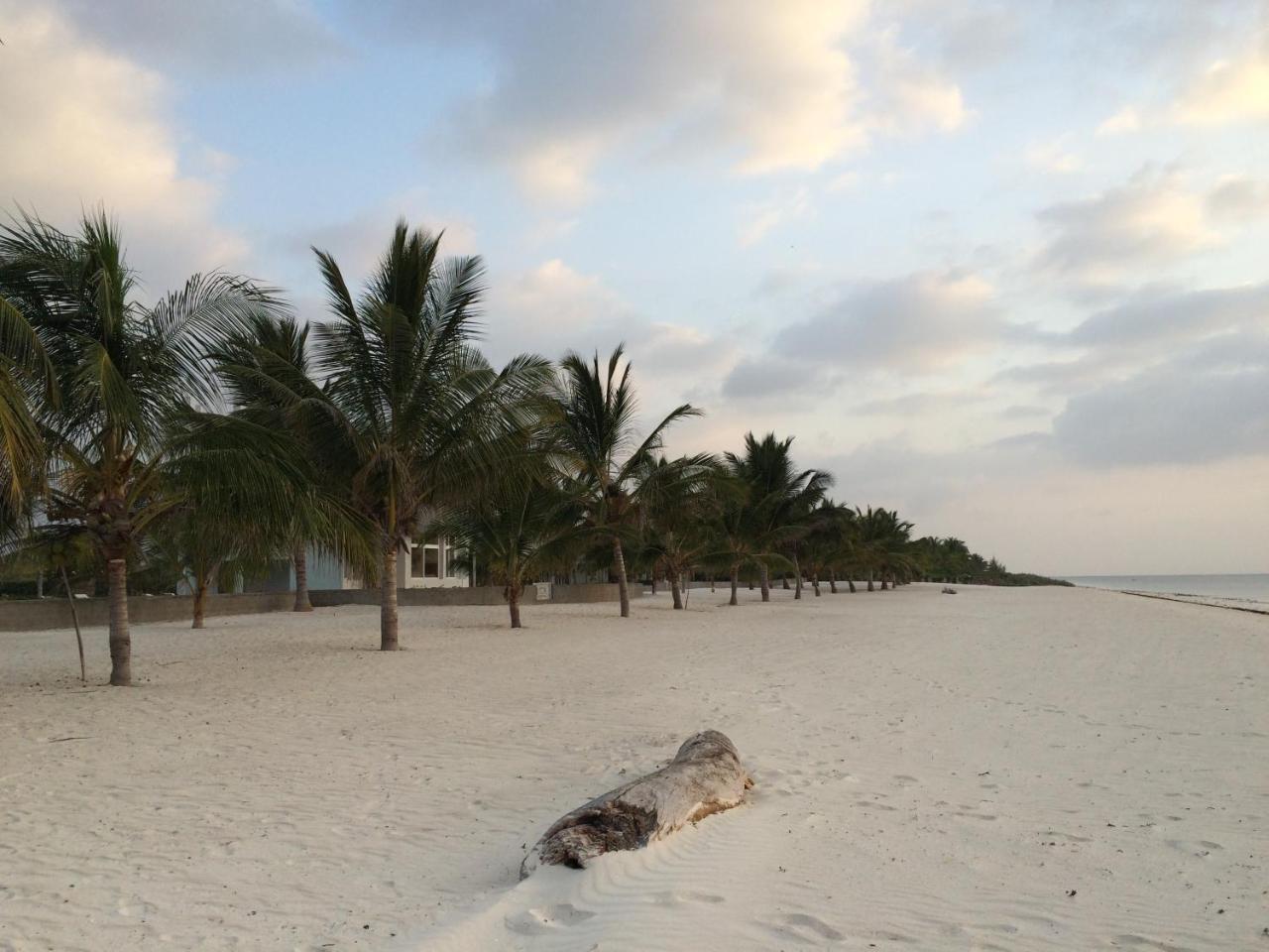 Life Resort St. Thomas Royal Palm Watamu Esterno foto