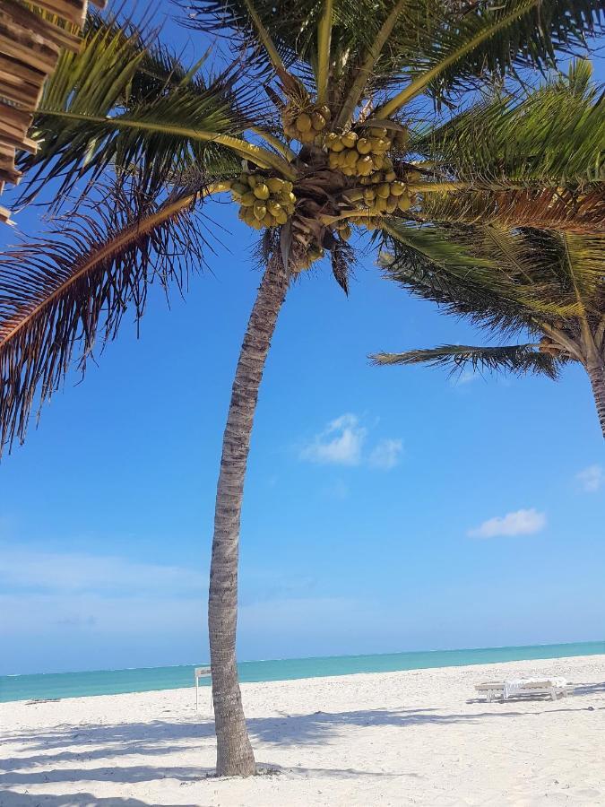 Life Resort St. Thomas Royal Palm Watamu Esterno foto